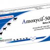 AMOXYCIL-500 BOLUS-image